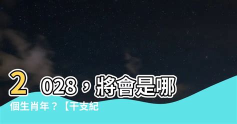 2028年是什麼年